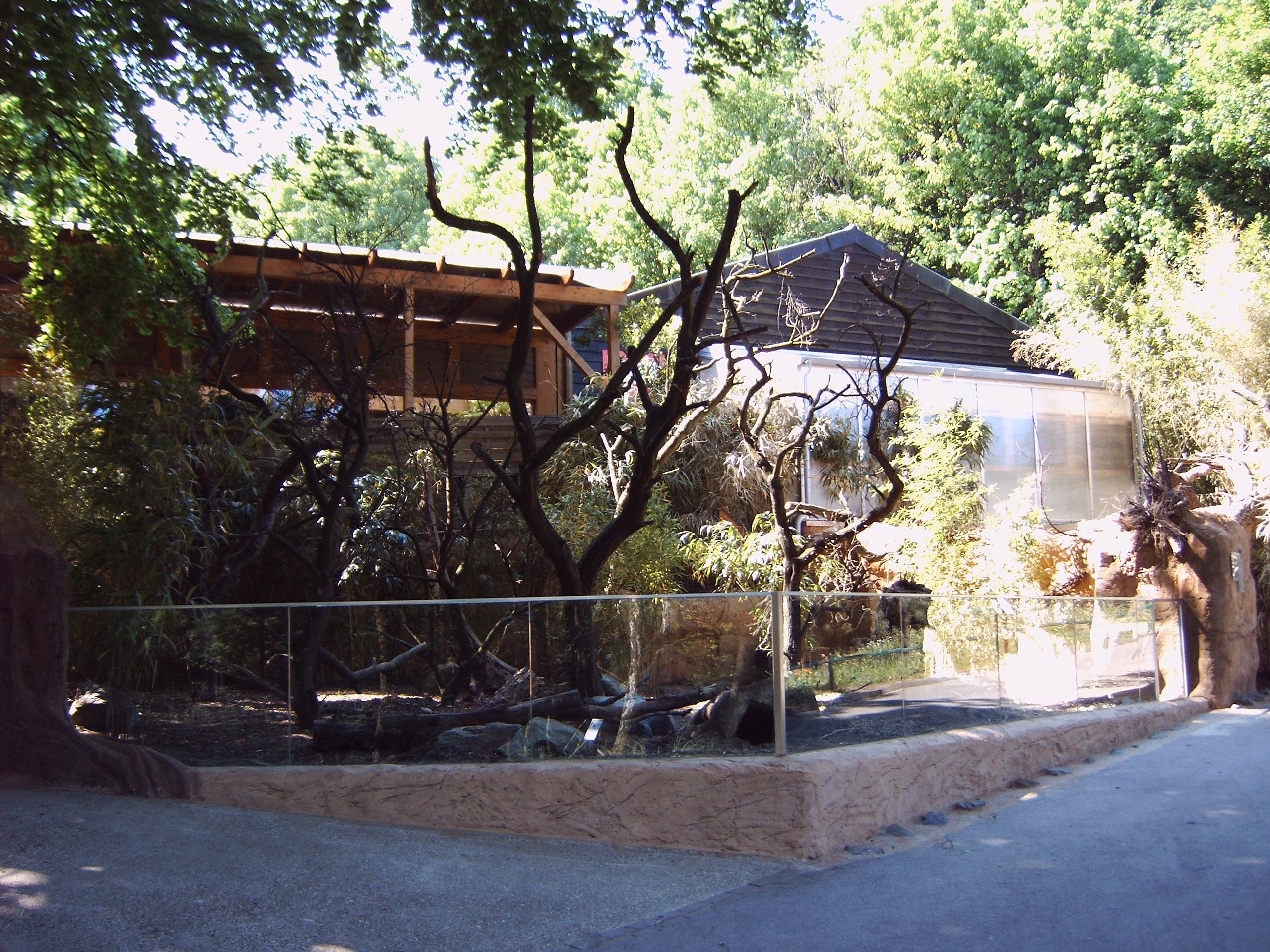 Koalahaus im Zoo
