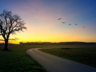 romantische-strasse