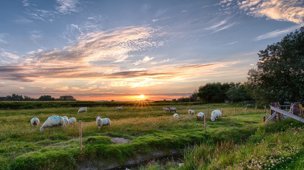 sonnenuntergang insel pellworm