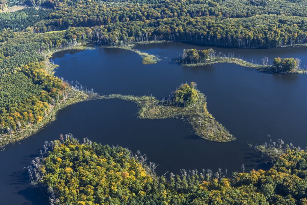 Schweingartensee Mueritz Nationalpark