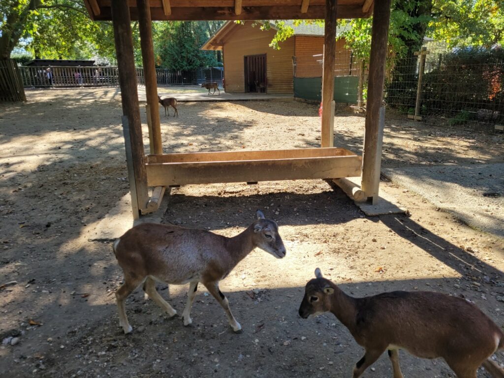 Tierpark Mönchengladbach Odenkirchen
