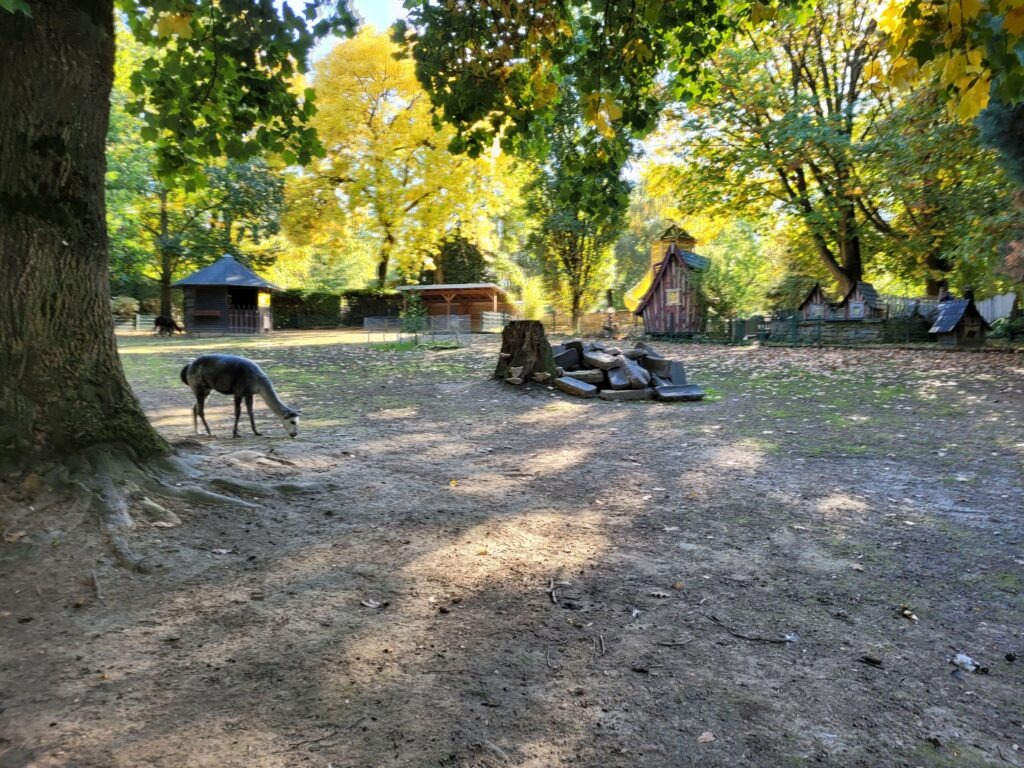 Tierpark Mönchengladbach Odenkirchen