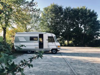 white van parked near green tree during daytime