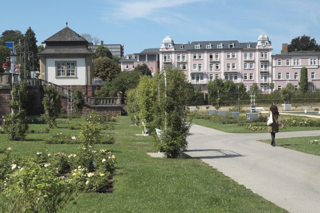 Rosenbeete und Wege im Rosengarten von Bad Kissingen mit Kurhäusern