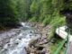 Holzsteg am Felsen entlang der Breitach im unteren Teil der Breitachklamm