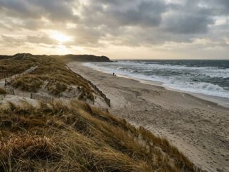 Leerer Nordseestrand im Winter mit Dünengras und Brandung bei tief stehender Sonne