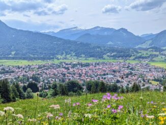 Blick vom Wallrafweg über den Ort Oberstdorf und die Allgäuer Alpen