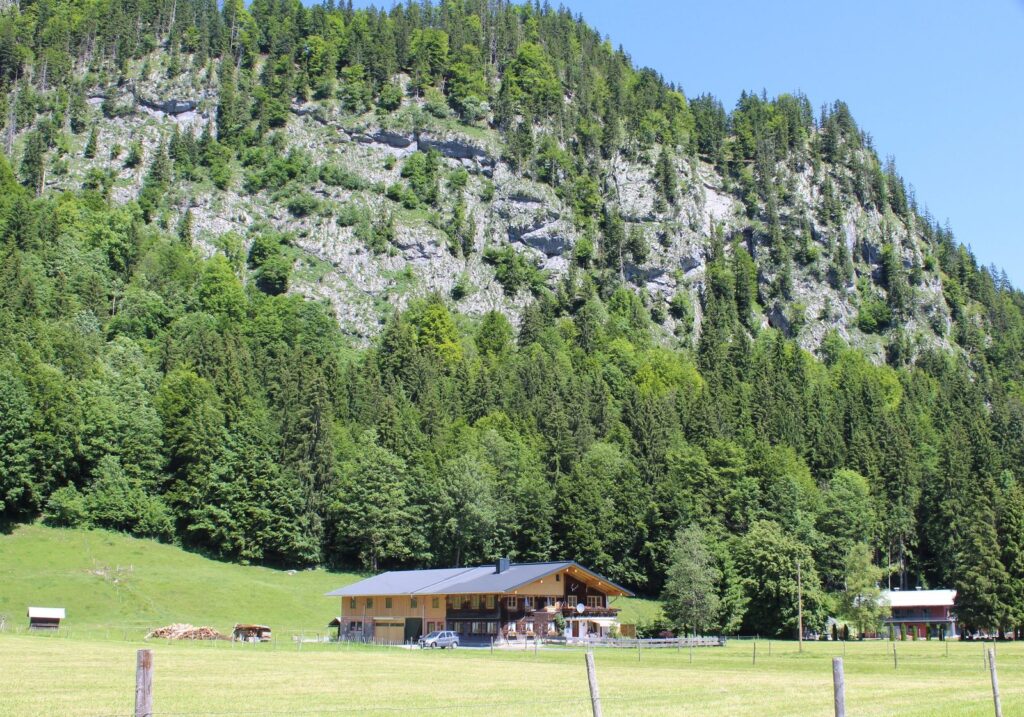 Allgäuer Bauernhaus an der Rohrmoosstraße vor bewaldeter Felswand bei Oberstdorf