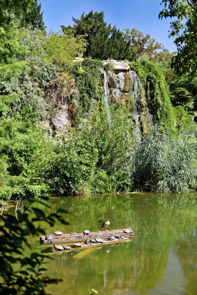 Künstlicher Wasserfall im Palmengarten mit Weiher und Schildkröten auf einem Baumstamm