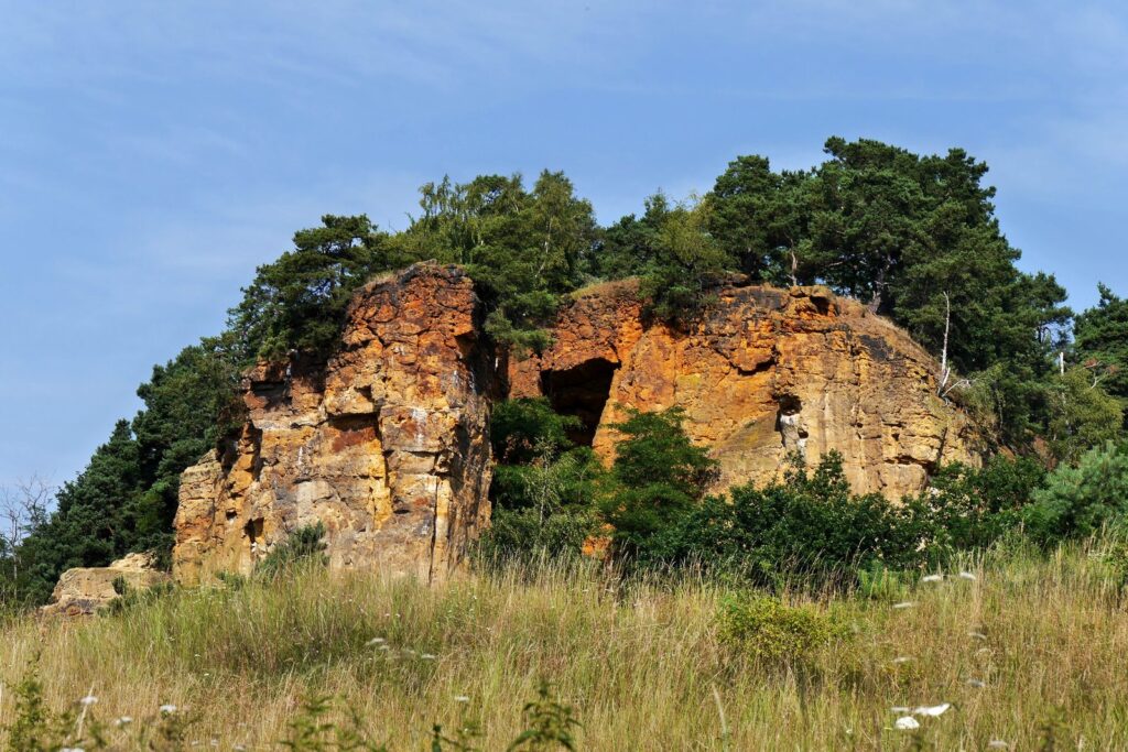 Sandsteinfelsen Lehof als Naturdenkmal nördlich von Quedlinburg im Sommer