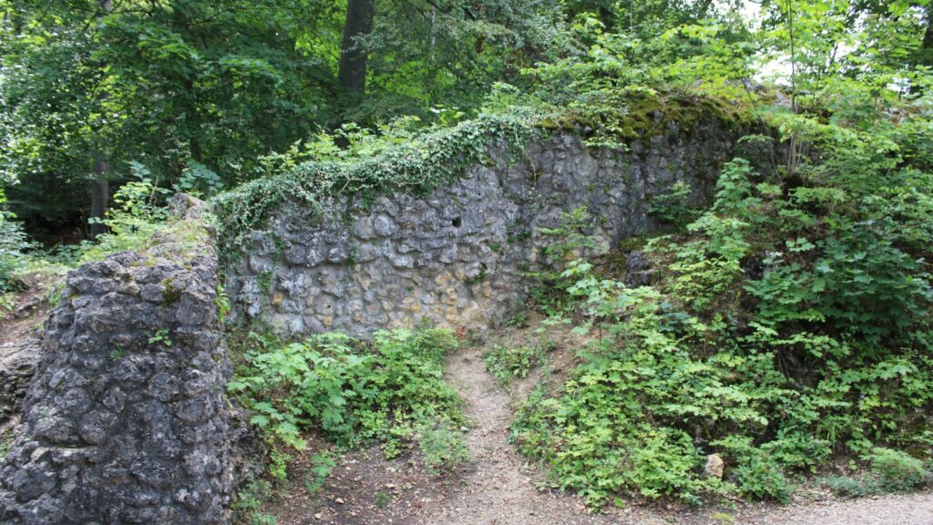 Bewachsene Mauerreste der mittelalterlichen Burg Alt-Lichtenstein im Wald
