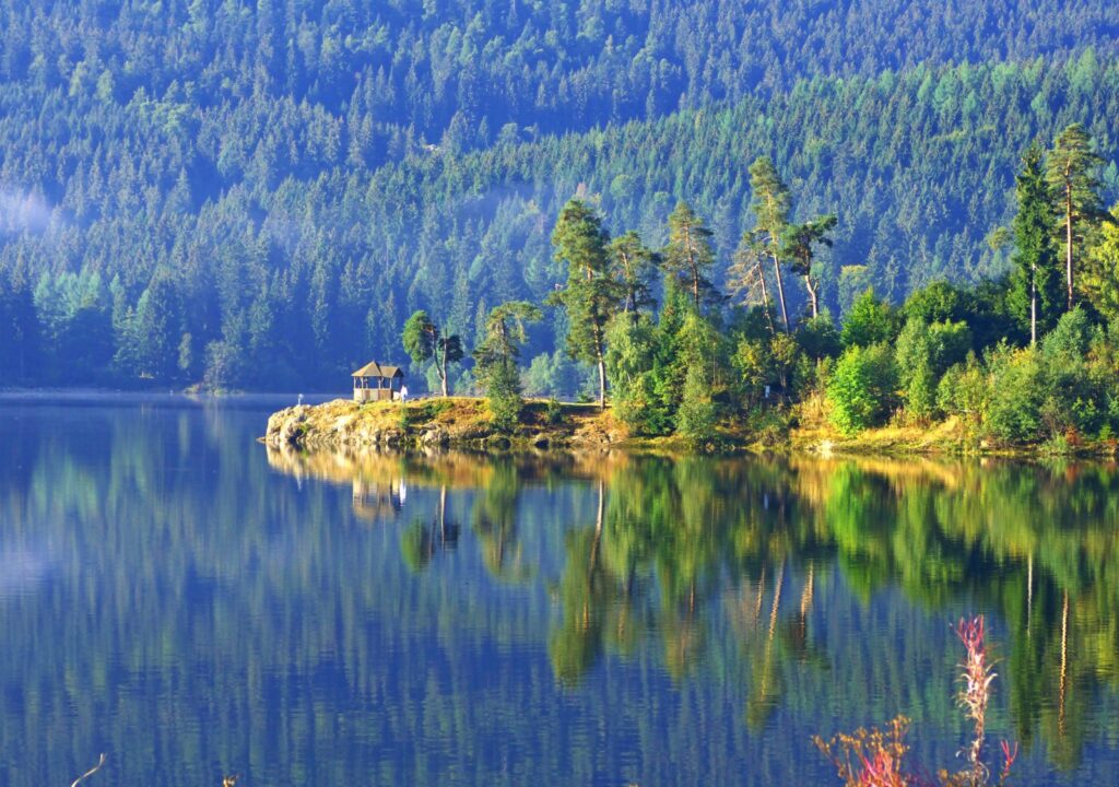 Bewaldete Landzunge mit Schutzhütte spiegelt sich morgens im Schluchsee
