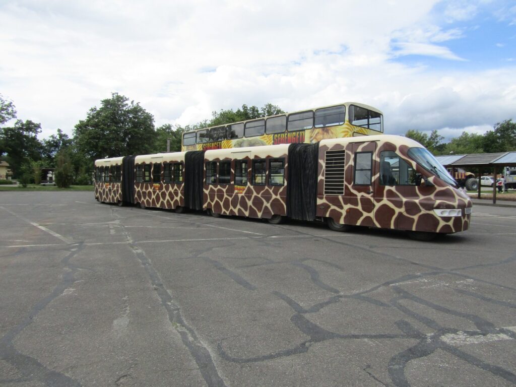Safaribus mit Giraffenmuster auf dem Parkplatz des Serengeti-Parks Hodenhagen