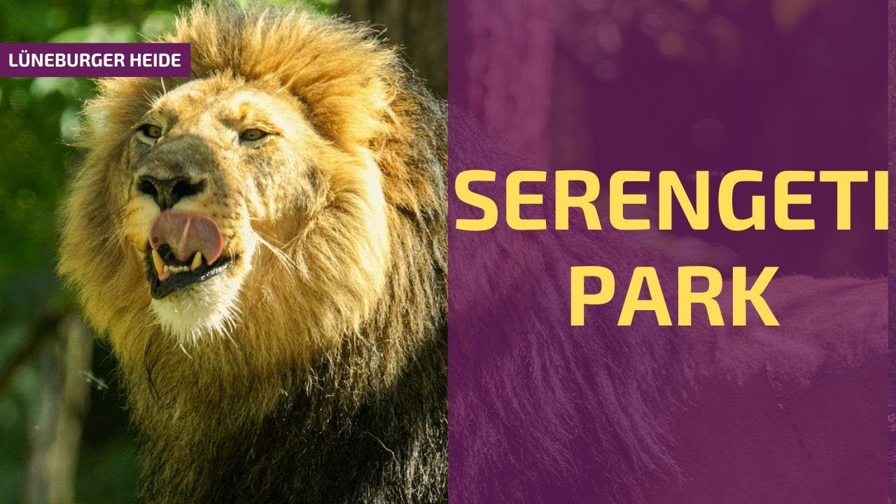 Vorschaubild: Serengeti Park Hodenhagen