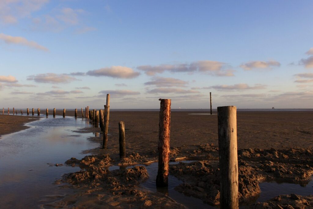 Reihe alter Holzpfähle im Watt von St. Peter-Ording mit Priel bei Niedrigwasser
