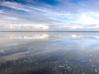 Weite Wasserfläche des Steinhuder Meeres mit Wolkenspiegelung und flachem Uferstreifen am Horizont
