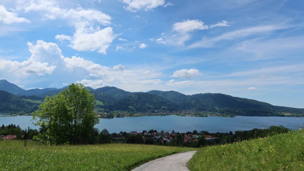 Geschwungener Wanderweg über blühende Bergwiesen mit dem Tegernsee im Hintergrund