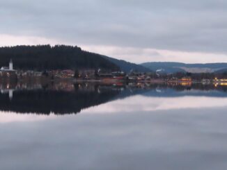 Blick vom Seerundweg über den Titisee auf den Ort mit Kirchturm und bewaldeten Hängen