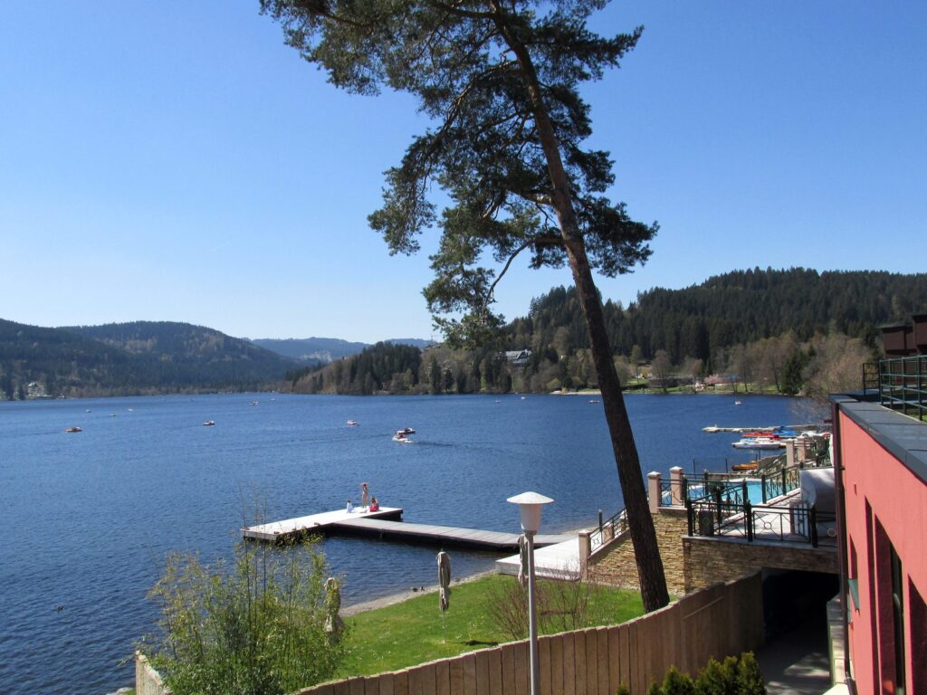 Titisee mit Bootssteg, Tretbooten und Kiefer am Ufer im Frühling