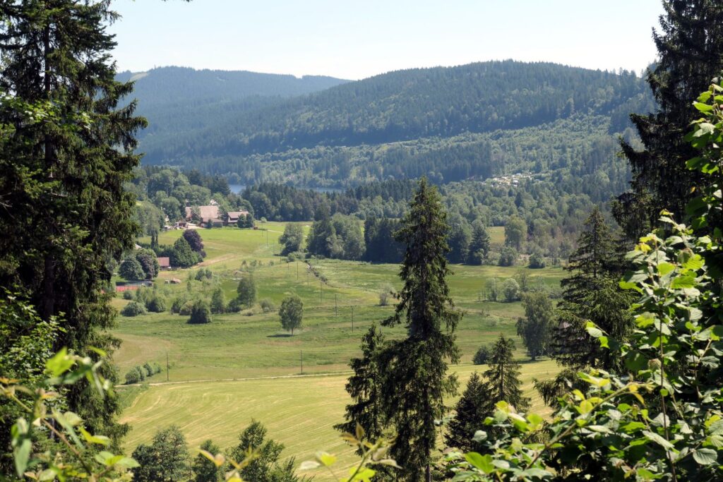 Naturschutzgebiet Unteres Seebachtal mit Wiesen, Wald und dem Titisee im Hintergrund
