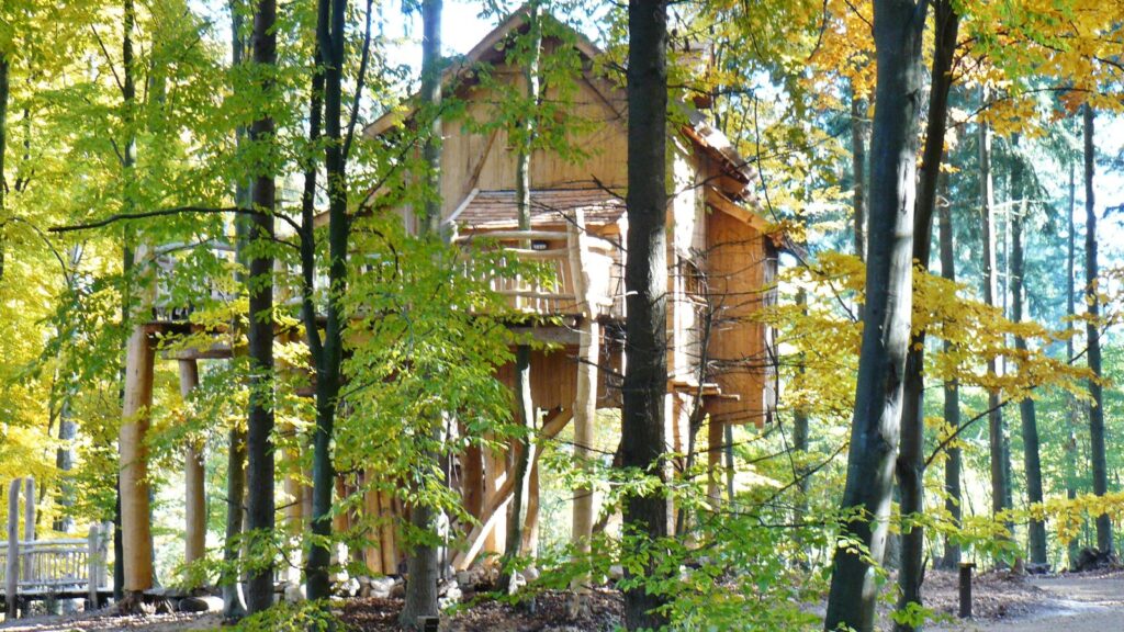 Hölzernes Baumhaus auf Stelzen im herbstlichen Wald des Tripsdrill Natur-Resorts