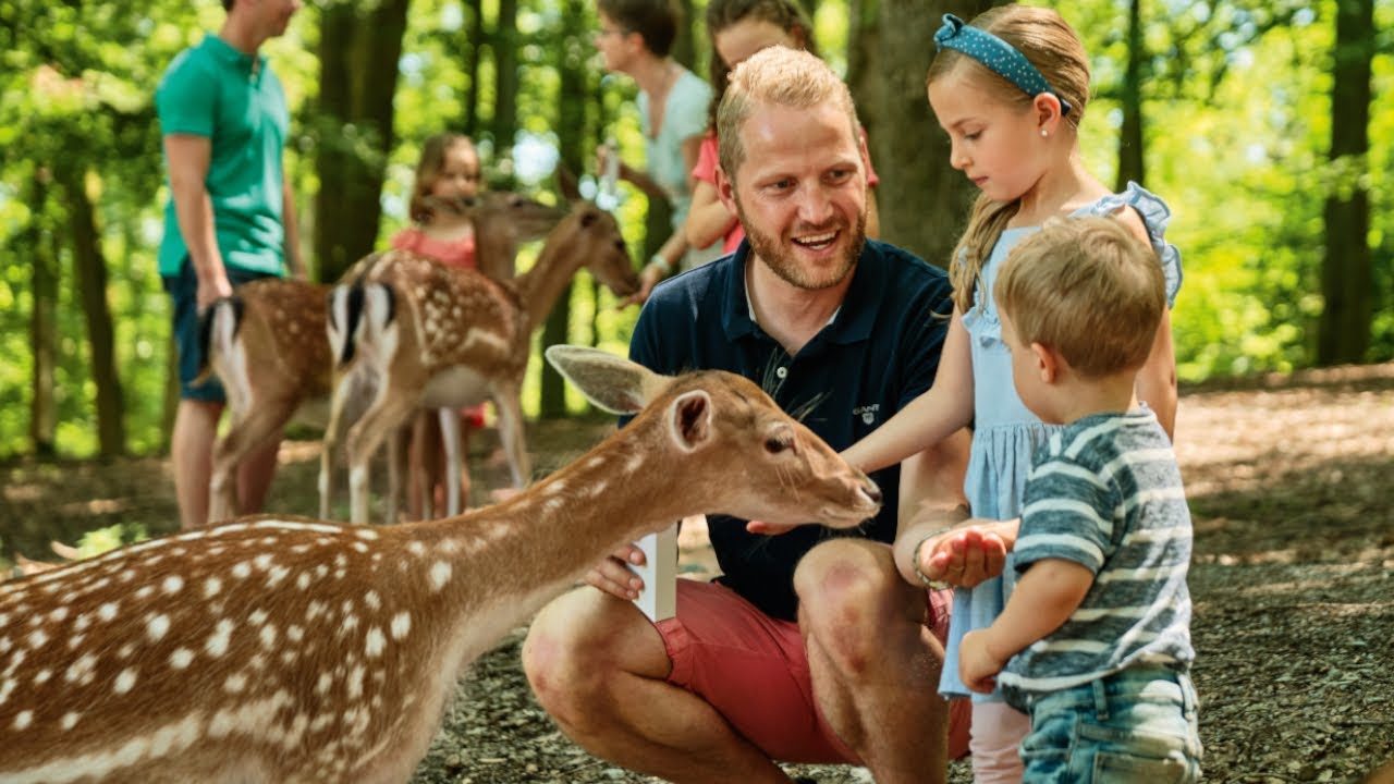 Vorschaubild: Wildparadies Tripsdrill - Tierische Erlebnisse