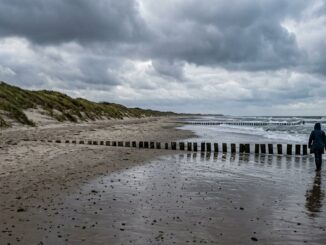Ostseestrand im Herbst mit Buhnen, Dünengras und grauem Himmel