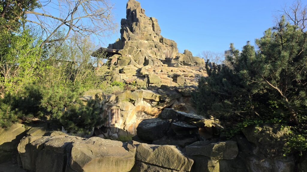 Künstliche Felsenanlage im Zoo Berlin unter blauem Himmel im Frühjahr